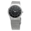 SKAGEN 233SSSB