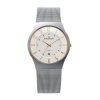 SKAGEN 233XLSGS