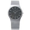 SKAGEN 233XLSSM