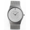 SKAGEN 233XLSSS-DR