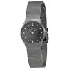 SKAGEN 233XSTTM