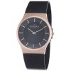 SKAGEN 803XLTRB