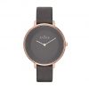 SKAGEN SKW2216