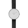 SKAGEN SKW2232