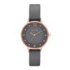 SKAGEN SKW2267