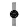 SKAGEN SKW2596