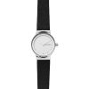 SKAGEN SKW2668