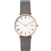 SKAGEN SKW2674