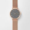 SKAGEN SKW2675