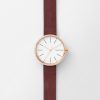 SKAGEN SKW2679