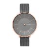 SKAGEN SKW2689