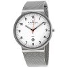 SKAGEN SKW6025