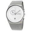 SKAGEN SKW6071