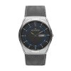 SKAGEN SKW6078