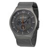 SKAGEN SKW6146