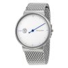 SKAGEN SKW6193