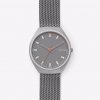 SKAGEN SKW6387