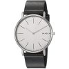 SKAGEN SKW6419