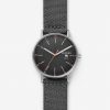 SKAGEN SKW6452