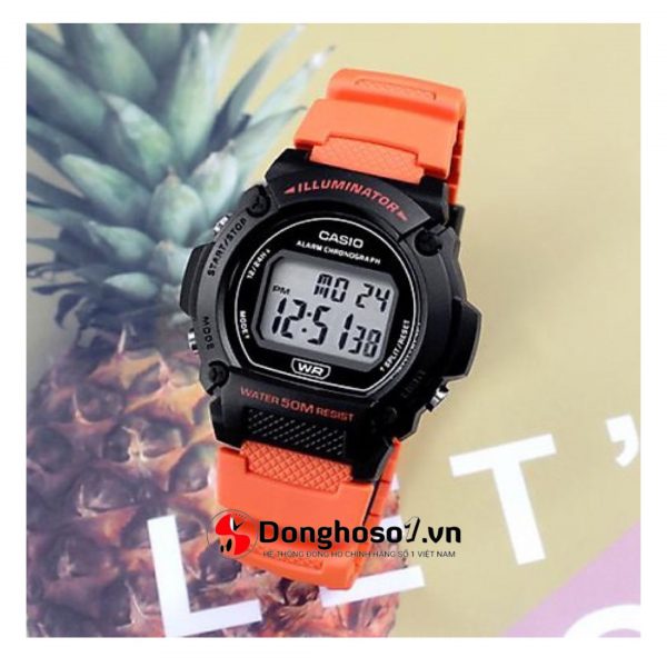 CASIO W-219H-4AVDF (4)