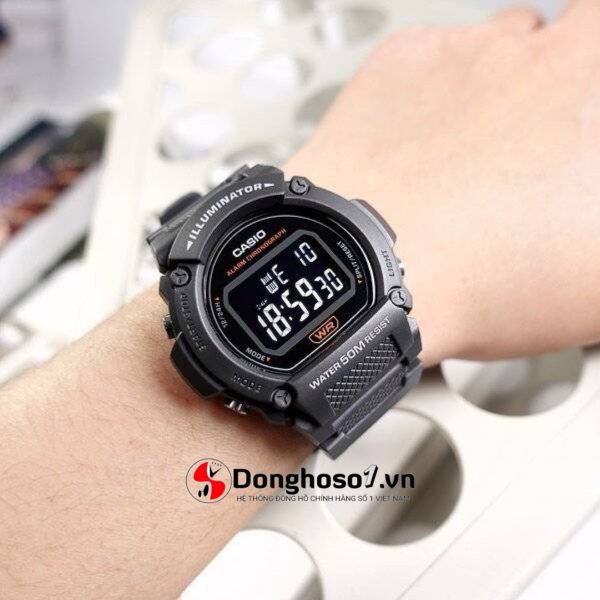 CASIO W-219H-8BVDF (4)